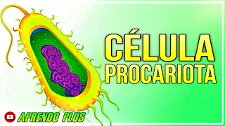 CÉLULA PROCARIOTA | Célula procarionte | Todo sobre la célula | Célula bacterias