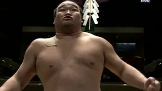 Январский турнир по Сумо 2011, 09-12 дни Хатсу Басё Токио  Hatsu Basho Tokyo