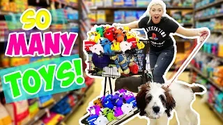 BUYING MY DOG ANYTHING HE TOUCHES! NEW PUPPYS FIRST TIME!