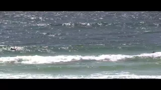 2015 Australian Longboard Surfing Open - Day 1