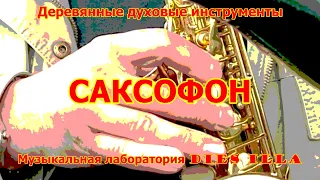 Деревянные духовые инструменты. Саксофон.