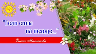 ОЧЕНЬ ДУШЕВНЫЙ И ЖИЗНЕННЫЙ СТИХ ✮ ЕСЛИ СИЛЫ НА ИСХОДЕ... ✮ ЕЛЕНА МОЛЧАНОВА ✮ ЛИРИКА ДЛЯ ДУШИ