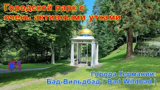 Городской парк с очень активными утками. Города Германии: Бад - Вильдбад ( Bad Wildbad ). Часть 1.