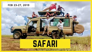 Safari in Tanzania - Serengeti, Ngorongoro, Tarangire, and Lake Manyara