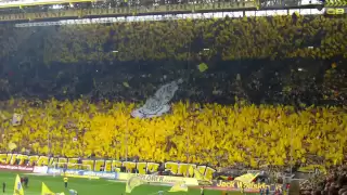 Der Muri - Schwarz und Gelb (BVB Borussia Dortmund Fansong)