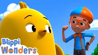 Blippi Meets a Baby Chick! | Blippi Wonders Stories and Adventures for Kids | Moonbug Kids