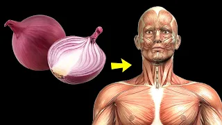 O que acontece com seu corpo quando você come cebola todos os dias