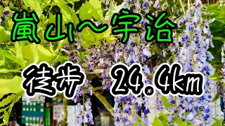 【京都府】嵐山から宇治【徒歩】