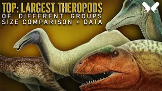 TOP LARGEST THEROPOD DINOSAURS. size comparison and data