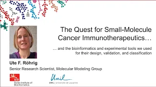 The quest for small-molecule cancer immunotherapeutics