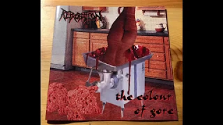 Reprobation - The Colour of Gore (2001)