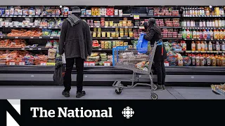 Federal budget includes ‘grocery rebate’ but drops rental benefit