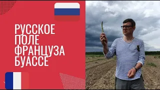 Русское поле француза Буассе. Как он с русским компаньоном делает бизнес на спарже в Подмосковье