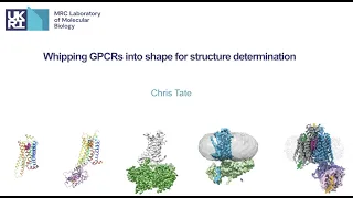 Whipping GPCRs into shape for structure determination
