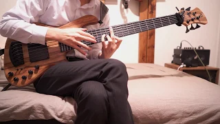 Howl's Moving Castle - Merry-Go Round of Life （人生のメリーゴーランド）solo bass　Adamovic saturn