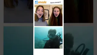 SHARK ATTACK PRANK on OMEGLE #shorts