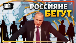 "Прощай, немытая Россия!" Почему россияне БОЯТСЯ возвращаться на родину?