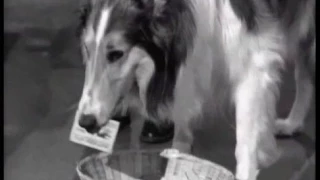 Lassie - Episode #158 - "The Raffle" - Season 5, Ep. 15 - 12/14/1958