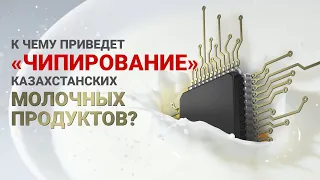 К ЧЕМУ ПРИВЕДЕТ «ЧИПИРОВАНИЕ»  КАЗАХСТАНСКИХ МОЛОЧНЫХ ПРОДУКТОВ? / Время говорить (17.07.20)