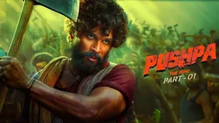 Pushpa: The Rise Full Movie In Hindi | Allu Arjun, Rashmika Mandanna, Fahadh Faasil | Facts & Review