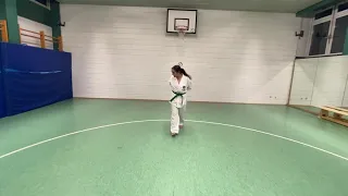 Sara Ahnin E-Martial Art Games