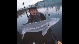 Giant fish caught on barbie rod