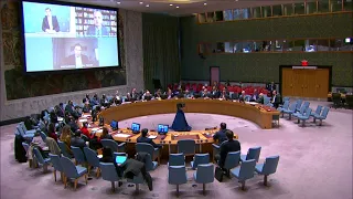 Timothy Snyder briefs The United Nations Security Council on "russophobia"