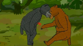 GRIZZLY BEAR VS BLACK BEAR