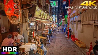 Japan - Tokyo Shinjuku night walk • 4K HDR