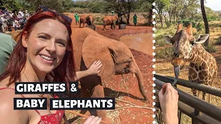 Elephant Orphanage and Giraffe Center // THE BEST THING to do in NAIROBI