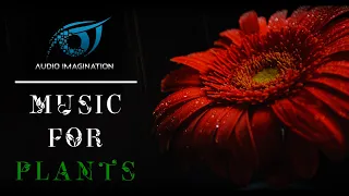 Music for Plants! 🌱 Plant Growth Music! - Maximize Your Plants Potential and Overall Health!