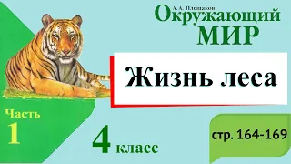 Жизнь леса. Окружающий мир. 4 класс, 1 часть. Учебник А. Плешаков стр. 164-169