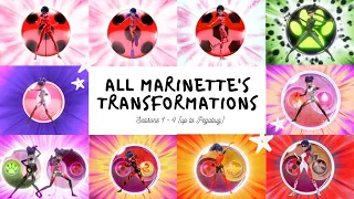 All Marinette's transformations S1-4 (up to Pegabug)