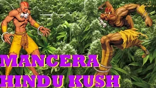 MANCERA HINDU KUSH