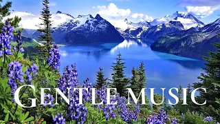 Gentle Music, Calms The Nervous System And Pleases The Soul 🌿Heal Mind, Body - Nature Sounds