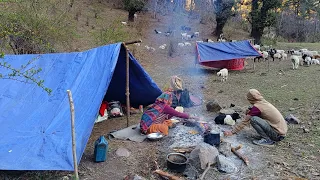 Himalayan Village Life | Nepal | Organic Shepherd Food Cooking | Shepherd Life |