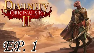 Divinity Original Sin 2, Tactician mode. Ep. 1: Lizards and Magic