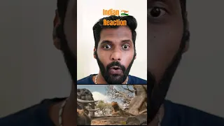 Mufasa The Lion King Teaser #indian  #reaction
