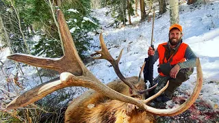 FREAK BULL ELK!!! 2 Colorado Bulls down! | S8E4 | Limitless Outdoors