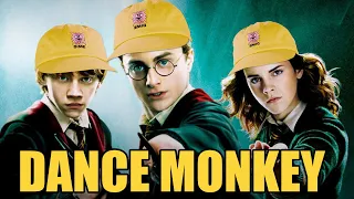 Dance Monkey is Hot in Hogwarts right now