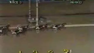1988 Roosevelt Raceway - Bob Meyer