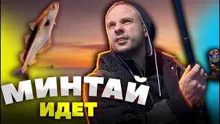 Ловля МИНТАЯ в НАХОДКЕ |  МЫС АСТАФЬЕВА | 2022