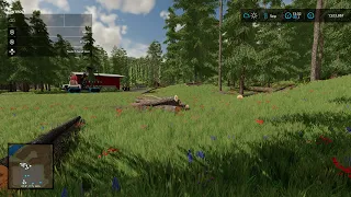 Bear Rock Logging/ FS22/ Ep 2/ Off screen work and clearing trees.