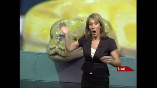 Classic on-air bloopers from Global News meteorologist