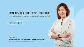 Взгляд сквозь слои: эффективные подходы к анализу снимков ОКТ