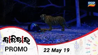 Kalijai | 22 May 19 | Promo | Odia Serial - TarangTV