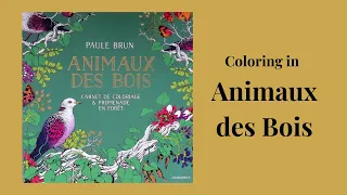 Coloring in Animaux Des Bois  by Paule Brun #adultcoloringchannel Part 1