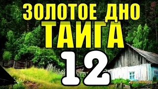 20 ЛЕТ В ТАЙГЕ | НАХОДКА НА ЧЕРДАКЕ | КЛАД = ЗОЛОТОЙ ПРИИСК и МЕДВЕДЬ | ПРИКЛЮЧЕНИЯ В ЛЕСУ 12