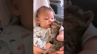 Kitten and baby are good friends #shorts #short #viral #video #ytshorts #shortvideo #cat #cute #baby