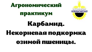 Карбамид (мочевина). Некорневые подкормки озимой пшеницы.